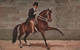 CHEVAUX - Dressage - Homme Avec Chapeau Haut De Forme Sur Cheval Qui Leve La Patte - Carte Postale Ancienne - - Chevaux