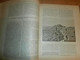 Delcampe - Völkerkunde Juli-Dezember 1899, Gebundene GLOBUS Zeitschriften , Expedition , Kolonie , Reise , Berichte , Etnologie  !! - 4. Neuzeit (1789-1914)