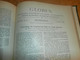 Delcampe - Völkerkunde Juli-Dezember 1899, Gebundene GLOBUS Zeitschriften , Expedition , Kolonie , Reise , Berichte , Etnologie  !! - 4. Neuzeit (1789-1914)