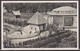 Ca. 1930 Noorder Dierenpark Emmen Z/W Blanco - Emmen