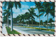 6AI994 FAMOUS LAS OLAS BOULEVARD IN FORT LAUDERDALE FLORIDA   2 SCANS - Fort Lauderdale