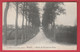 Mettet - Route De Devant-les-Bois -1909 ( Voir Verso ) - Mettet