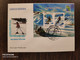 2014 FDC Azerbaijan Sport Skiing - Azerbaigian