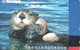 SHELL * CLAM * OTTER * SHMZ * NTT 110-011 00008 50 * Japan - Otros & Sin Clasificación