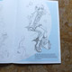 DRAWING MANGA - GIRLS - Illustrations By Toby Quarmby With Rob Hall_ Isbn : 1-84013-870-x _TOP ** - Activiteiten/ Kleurboeken