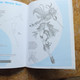 Delcampe - DRAWING MANGA - GIRLS - Illustrations By Toby Quarmby With Rob Hall_ Isbn : 1-84013-870-x _TOP ** - Activiteiten/ Kleurboeken