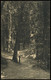(B2964) AK Itzehoe, Am Breitenburger Gehölz, Feldpost 1915 - Itzehoe