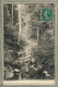 CPA - ST (88) SAINT-ETIENNE-de-REMIREMONT - Aspect Du Sous-bois à La Cascade De Miraumont En 1904 - Saint Etienne De Remiremont