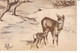 Lot 4 Cp - Dessin D'animaux En Forêt L'hiver!!!! Voir Scans-Ed. Serv. Social Et Culturel Des TAO - Pittura & Quadri