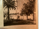 Photo Noir Et Blanc, 1940, Algérie Saida La Mosquée Avec Palmiers, Moto, Enfin Devant Moto,homme  Assis Par Terre - Saïda