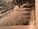 Photo Noir Et Blanc, 1940, Algérie Ville  Saida Hommes, En Maillot De Bain , Enfants à La Piscine Vidal Au Bord De La P - Saïda