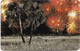 Namibia - Telecom Namibia - Happy New Year, Fireworks And Palm Trees, 10$, 2001, Used - Namibia