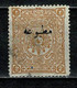 Turkiye Journaux 1894 Yv. 15 (2 Scans) - Dagbladzegels