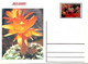 Delcampe - GUINEA ECUATORIAL FLOWER CACTUS 13 POST CARDS - Cactus