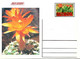 Delcampe - GUINEA ECUATORIAL FLOWER CACTUS 13 POST CARDS - Cactusses