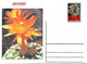 Delcampe - GUINEA ECUATORIAL FLOWER CACTUS 13 POST CARDS - Cactus