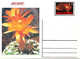 Delcampe - GUINEA ECUATORIAL FLOWER CACTUS 13 POST CARDS - Cactus