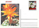 Delcampe - GUINEA ECUATORIAL FLOWER CACTUS 13 POST CARDS - Cactus