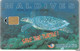 CARTE-PUCE-RF 30-MALDIVES-SAVE TORTUES-TBE - Tortugas