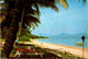 (3 Oø 21) Australia - QLD - (posted 1978 - With Bird Stamp) Dunk Island Beach - Mackay / Whitsundays