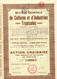 Société Générale De Cultures Et D'Industries Tropicales S.A. - Action Ordinaire - Bruxelles Octobre 1924. - Industrie