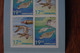 2-975 Oie Gans Goose Ganso Oca Gé Seal Phoque Foca Dichtung Sello Sigillo Zeehond Selar Greenland Carnet 29 Europa 2021 - Oche