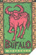 Italy:Used Phonecard, Telecom Italia, 10000 Lire, Buffalo, 2002 - Publieke Thema