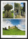 Ireland Postcard With Floran Stamp Circulated - Brieven En Documenten
