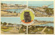 Postcard England Southend-on-Sea Multi View Long-haired Black Cat - Southend, Westcliff & Leigh