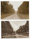 2 Real Photo Postcards, Berkshire, Windsor, Royal Park, The Long Walk. - Windsor