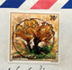 RWANDA -1980 COVER USED TO BELGIUM, PODOSCYPHA ELEGANS STAMP, CYANGUGU CITY CANCEL - Storia Postale