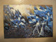 TORONTO 1984 Esto'84 Cancel Card + 2 Toronto Poster Stamp Vignette CANADA Estonia Estonie Estland - Brieven En Documenten