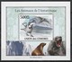 COMORES 2009 -  Année Polaire Internationale, Arctique, Antarctique, Fonte Des Glaces, Manchots - 4 Blocs ND - Faune Antarctique