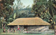 Tahiti - Danse Canaoue - Edit. Homes - Clorisé - Animé - Carte Postale Ancienne - Tahiti