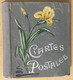 ALBUM ANCIEN POUR CARTES POSTALES ANCIENNES DECOR IRIS JAUNE - Unclassified