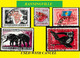 BANNINGVILLE BELGIAN CONGO / CONGO BELGE CANCEL STUDY [3] WITH COB 366+356+357+317+ Cd 419 [ 5 STAMPS ] - Plaatfouten En Curiosa