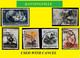 BANNINGVILLE BELGIAN CONGO / CONGO BELGE CANCEL STUDY [5] WITH COB 297+276+301+315+318+274 [ 6 Stamps] - Variedades Y Curiosidades