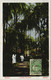 Delcampe - GUINEA-BISSUA 11 Vintage AFRICA Postcards (L3712) - Guinea Bissau