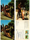 Delcampe - SEYCHELLES ISLANDS AFRICA 30 MODERN POSTCARDS INCL. POSTALLY USED (L5815) - Seychellen