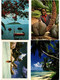 Delcampe - SEYCHELLES ISLANDS AFRICA 30 MODERN POSTCARDS INCL. POSTALLY USED (L5815) - Seychelles