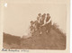 HEIDE KALMTHOUT     1927    ZIE     FOTO  12 X 9 CM   !!! BESCHADIGING BOVENAAN LINKS   ZIE AFBEELDINGEN - Kalmthout