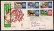 Delcampe - INSIEME DI 12 BUSTE TUTTE FDC VENETIA SERIE "PRO VITTIME DELL ALLUV."+SERIE COMPLETA SU DUE BUSTE "CANI DI RAZZA "+ SERI - Lettres & Documents