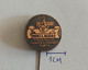 FORMULA 1 - NIKI LAUDA, Car, Auto, Automotive  PIN A13/10 - F1