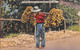 Amérique - PUERTO RICO - Carrying Bananas To The Market - Porteur De Bananes - Voyagé (voir Les 2 Scans) - Puerto Rico