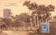 Nouvelle Calédonie - Nouméa - Pointe Chalex - Cocoteraie - Edit. E.E. - Palmier - Carte Postale Ancienne - Nieuw-Caledonië