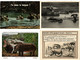 HIPPOPOTAMUS, HIPPO, HIPPOS, ANIMALS 27 Modern Postcards (L4496) - Hippopotamuses