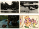 HIPPOPOTAMUS, HIPPO, HIPPOS, ANIMALS 27 Modern Postcards (L4496) - Flusspferde