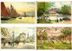 BELGIUM LITHOGRAPHY 37 Vintage LITHO Postcards Pre-1920 (L3841) - Collections & Lots