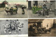 Delcampe - DOG CARTS BELGIUM With BETTER 51 Vintage Postcards Pre-1940 (L4315) - Collections & Lots