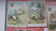 15  Cards AMIDON REMY Marque De Fabrique Tête De Lion Transport De L'Amidon Remy En Differente Pays Elephant - Petit Format : ...-1900